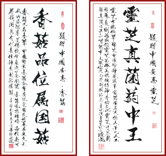 圖片關鍵詞 圖片關鍵詞