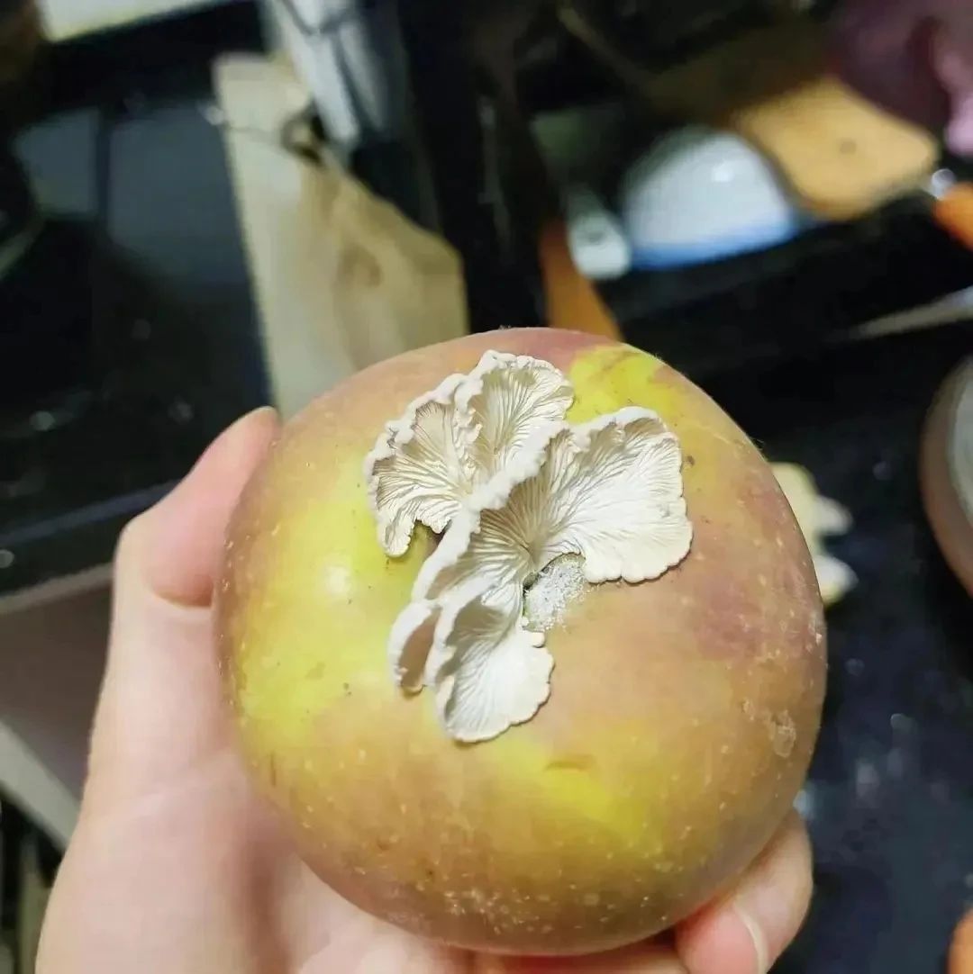 圖片關鍵詞