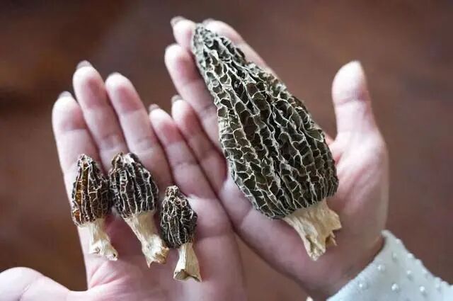 圖片關鍵詞