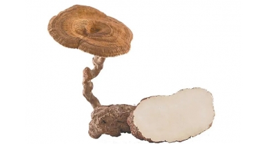 行業(yè)動(dòng)態(tài)