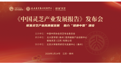 專題報(bào)道